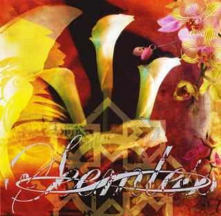 Seemless - What Have We Become - CD