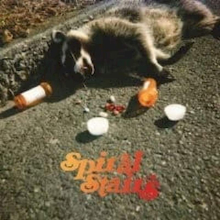 Spiral Stairs - The Real Feel - CD