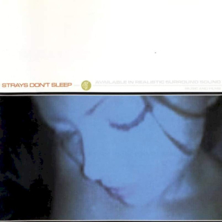 Strays Don't Sleep - Strays Don't Sleep - CD + DVD