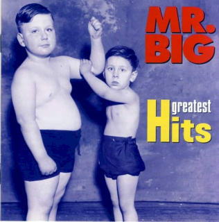 Mr. Big - Greatest Hits - CD
