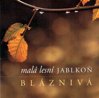 Jablkoň - Bláznivá - CD