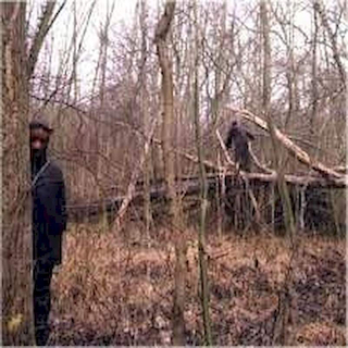 Lauter - A Walk Will Take My Mind Off Things - CD