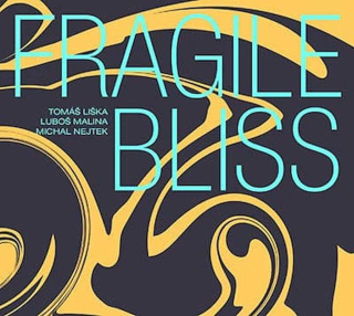 Tomáš Liška, Luboš Malina, Michal Nejtek - Fragile Bliss - CD
