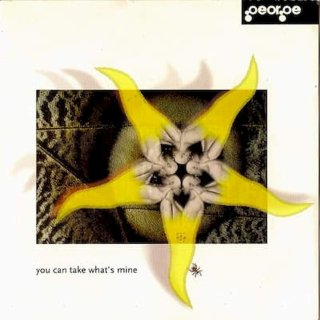 George - You Can Take What's Mine - CD