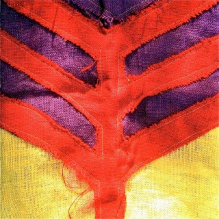 Yeah Yeah Yeahs - Show Your Bones - CD