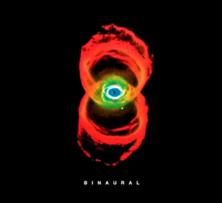 Pearl Jam - Binaural - CD