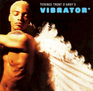 Terence Trent D'Arby - Terence Trent D'Arby's Vibrator* - CD