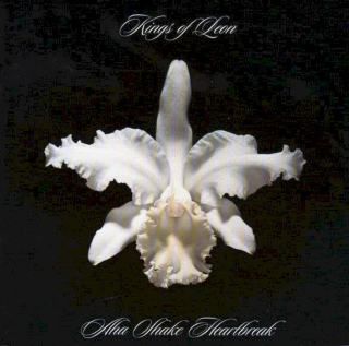Kings Of Leon - Aha Shake Heartbreak - CD