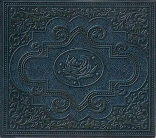 Ryan Adams & The Cardinals - Cold Roses - CD