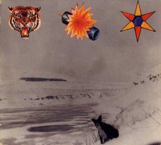 The Beta Band - The Three E.P.'s - CD