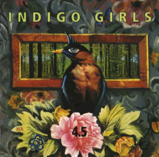 Indigo Girls - 45781 - CD