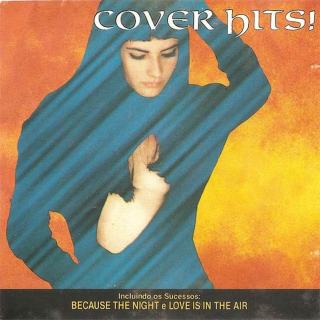 Various - Cover Hits! - CD