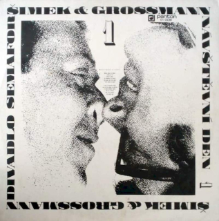 Šimek & Grossmann - Návštěvní Den 1 - LP / Vinyl