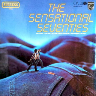 Various - The Sensational Seventies - LP / Vinyl