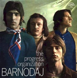 The Progress Organization - Barnodaj - LP / Vinyl