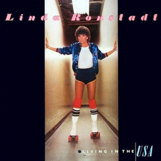 Linda Ronstadt - Living In The USA - LP / Vinyl