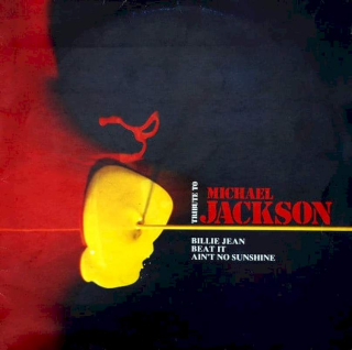 Unknown Artist - Tribute To Michael Jackson - LP / Vinyl
