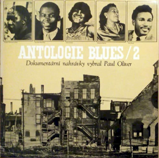 Various / Paul Oliver - Antologie Blues / 2 - LP / Vinyl