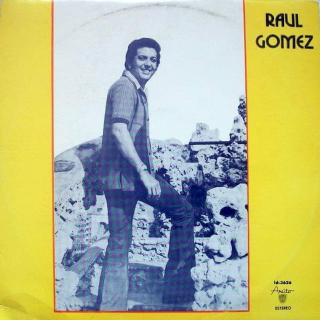 Raúl Gómez - Caminando Y Aprendiendo A Vivir - LP / Vinyl