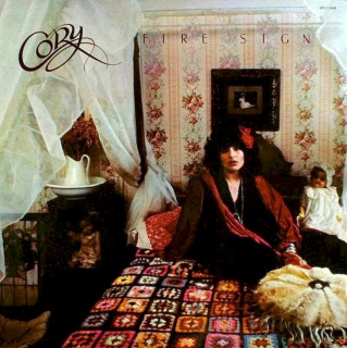 Cory Braverman - Fire Sign - LP / Vinyl