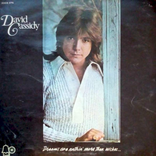 David Cassidy - Dreams Are Nuthin' More Than Wishes... - LP / Vinyl