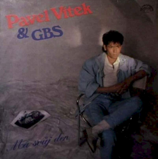 Pavel Vítek & GBS - Má Svůj Den - LP / Vinyl