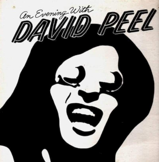 David Peel - An Evening With - LP / Vinyl