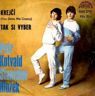 Stanislav Hložek & Petr Kotvald - Krejčí (You Drive Me Crazzy) / Tak Si Vyber - SP / Vinyl