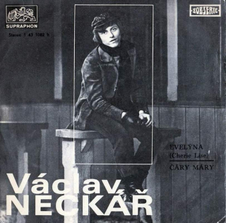 Václav Neckář - Evelýna / Čáry Máry - SP / Vinyl