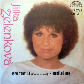 Jitka Zelenková A Miroslav Talián - Jsem Tady Já (Come Vorrei) / Nedělní Hon - SP / Vinyl
