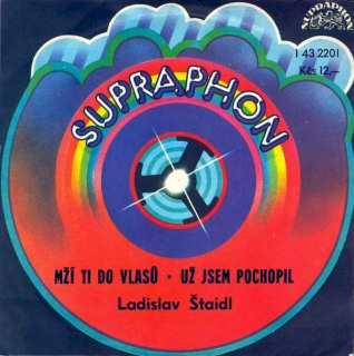 Ladislav Štaidl - Mží Ti Do Vlasů / Už Jsem Pochopil - SP / Vinyl