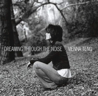Vienna Teng - Dreaming Through The Noise - CD