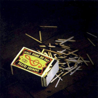 Bratři Ebenové - Malé Písně Do Tmy - CD