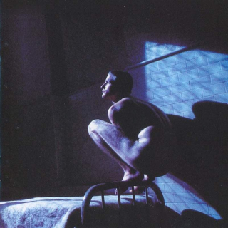 Peter Gabriel - Birdy - SACD