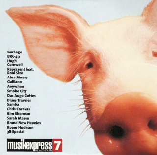 Various - Musikexpress  7 - CD