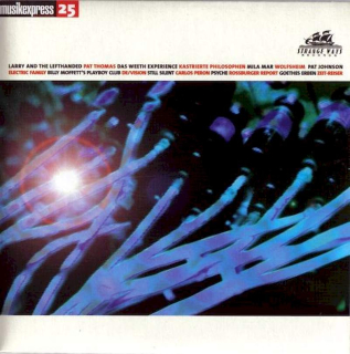 Various - Musikexpress 25 - Strange Ways Records - CD