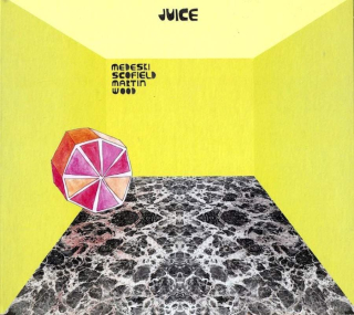 Medeski Scofield Martin & Wood - Juice - CD