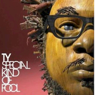 Ty - Special Kind Of Fool - CD