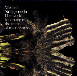 Me'Shell NdegéOcello - The World Has Made Me The Man Of My Dreams - CD