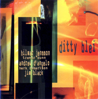 Hilmar Jensson - Ditty Blei - SACD