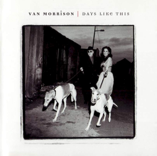 Van Morrison - Days Like This - CD