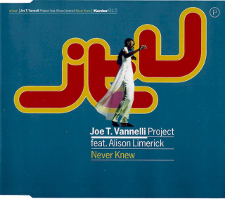 Joe T. Vannelli Project Feat. Alison Limerick - Never Knew - CD Singl