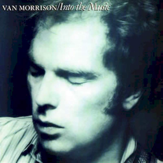 Van Morrison - Into The Music - CD