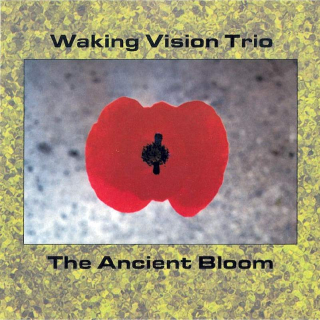 Waking Vision Trio - The Ancient Bloom - CD