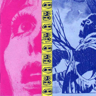 The Jon Spencer Blues Explosion - Plastic Fang - CD