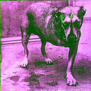 Alice In Chains - Alice In Chains - CD