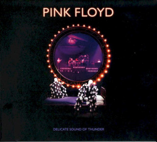 Pink Floyd - Delicate Sound Of Thunder - CD