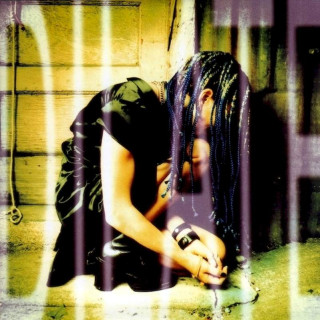 Ani DiFranco - Dilate - CD