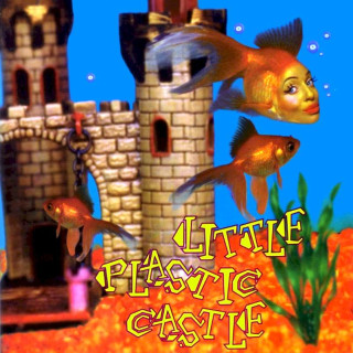 Ani Difranco - Little Plastic Castle - CD