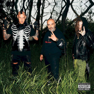 DMS - HUHU - CD